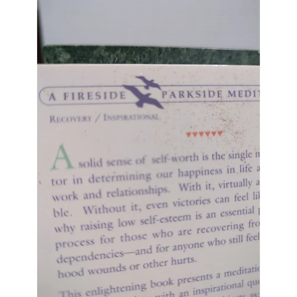 1992 Believing In Myself, A Fireside/Parkside Meditation Book Larsen‎ & Hegarty